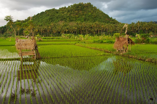 Bali